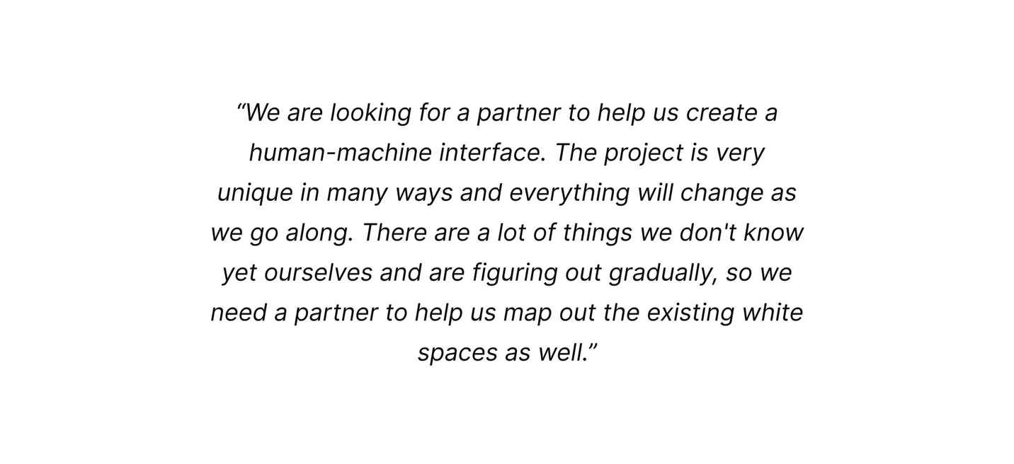 An excerpt from the client's initial brief.